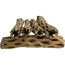 Awesome Aquatic Natural Cholla Choya Wood 5 Pieces 6” for Shrimp Habitat and Food Treat Hermit Crabs Plecos Aquarium Decoration Lowers pH Hideouts and Chew Toys Reptiles Thorn Free Dried OrganicAwesome Aquatic Natural Cholla Choya Wood 5 Pieces…