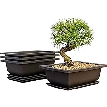 Tinyroots Bonsai Training Pots - Mesh, Durable, Economical - 6&#034; &amp; 8&#034; Combo Pack