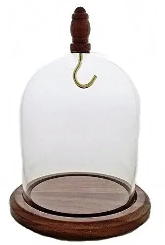 3&#034;x4&#034; Pocket Watch Glass Display Dome Cloche with Real Walnut Wood Base &amp; Sil...