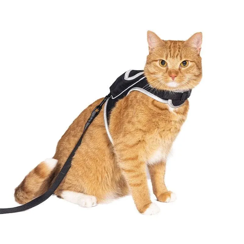 Travel Cat & Stray Cat Harness and Leash Set