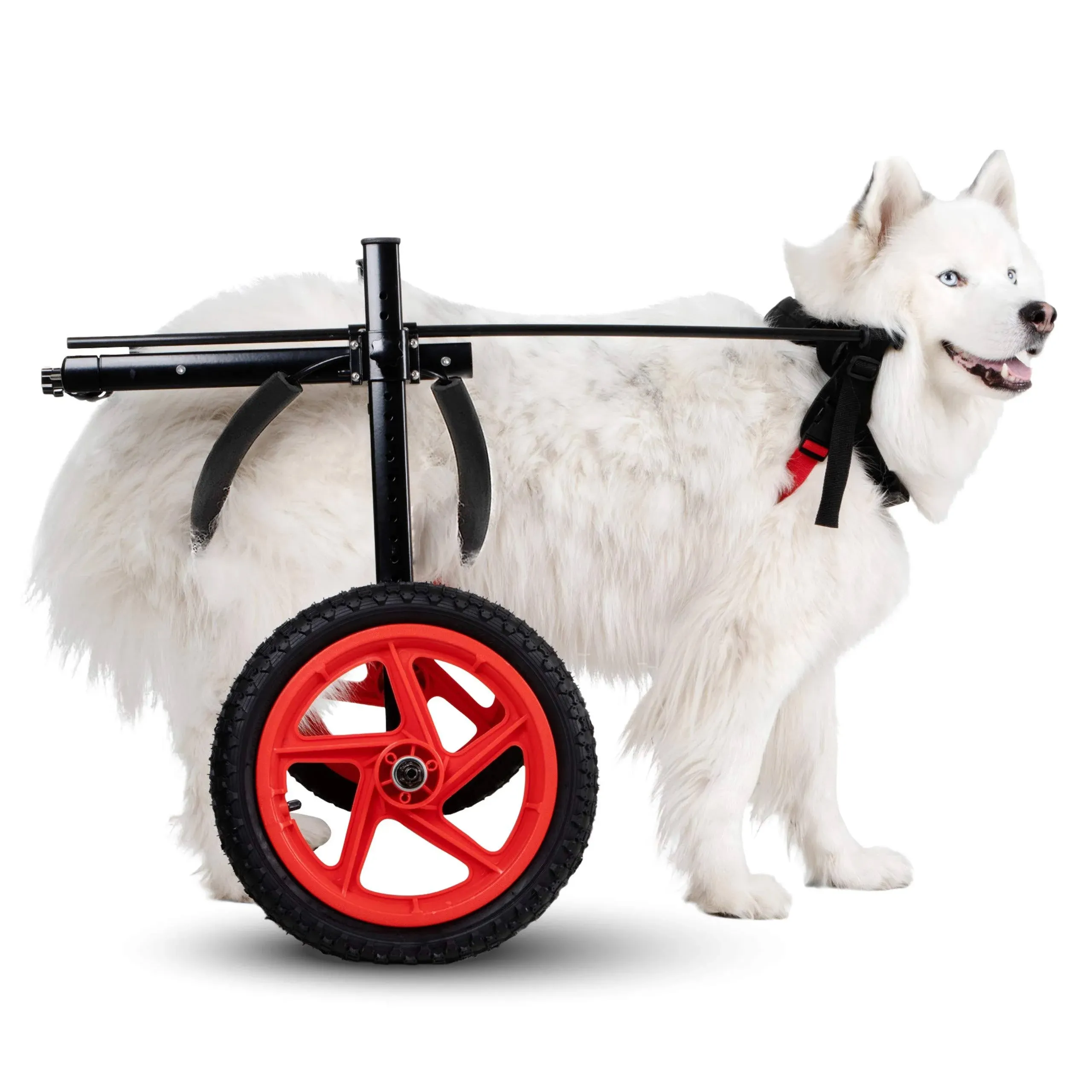 PRO Dog Wheelchair for Back Legs Dog Cart Is Easy Adjustable -Choose Size for Yo