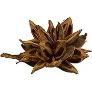 Vickerman H2stax725 12-16" Aspen Gold Star Pod