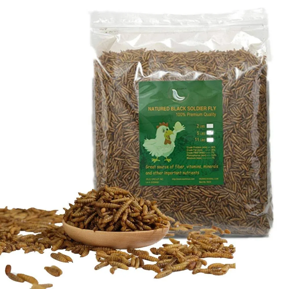 HANDPOINT 20lbs Black Soldier Fly Larvae Superior to Dried Mealworms for Chickens ...