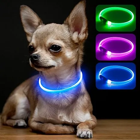 BSEEN Light Up Dog Collars - Glowing LED Dog Collar, TPU Cuttable Lighted Puppy Collar, Rechargeable Dog Walking Light for Small Medium Large Dogs (Green)