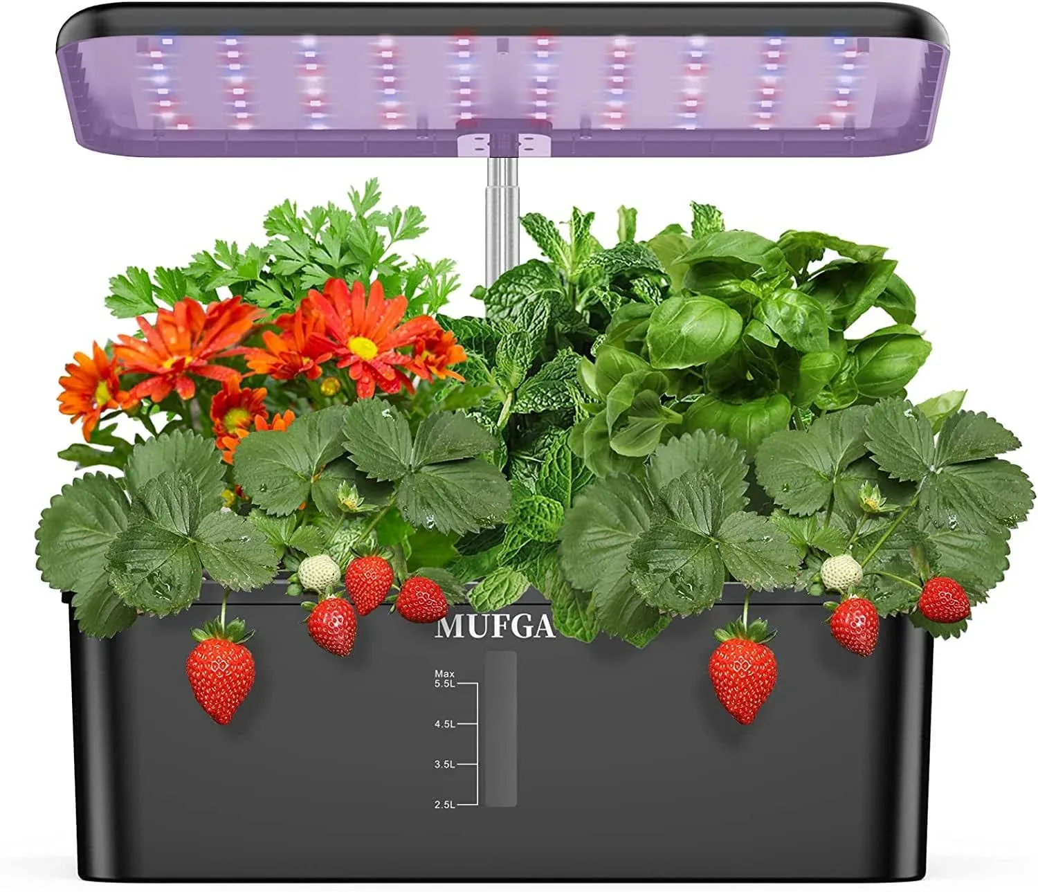 Herb Garden Hydroponics Growing System - MUFGA 12 Pods Indoor Gardening System w