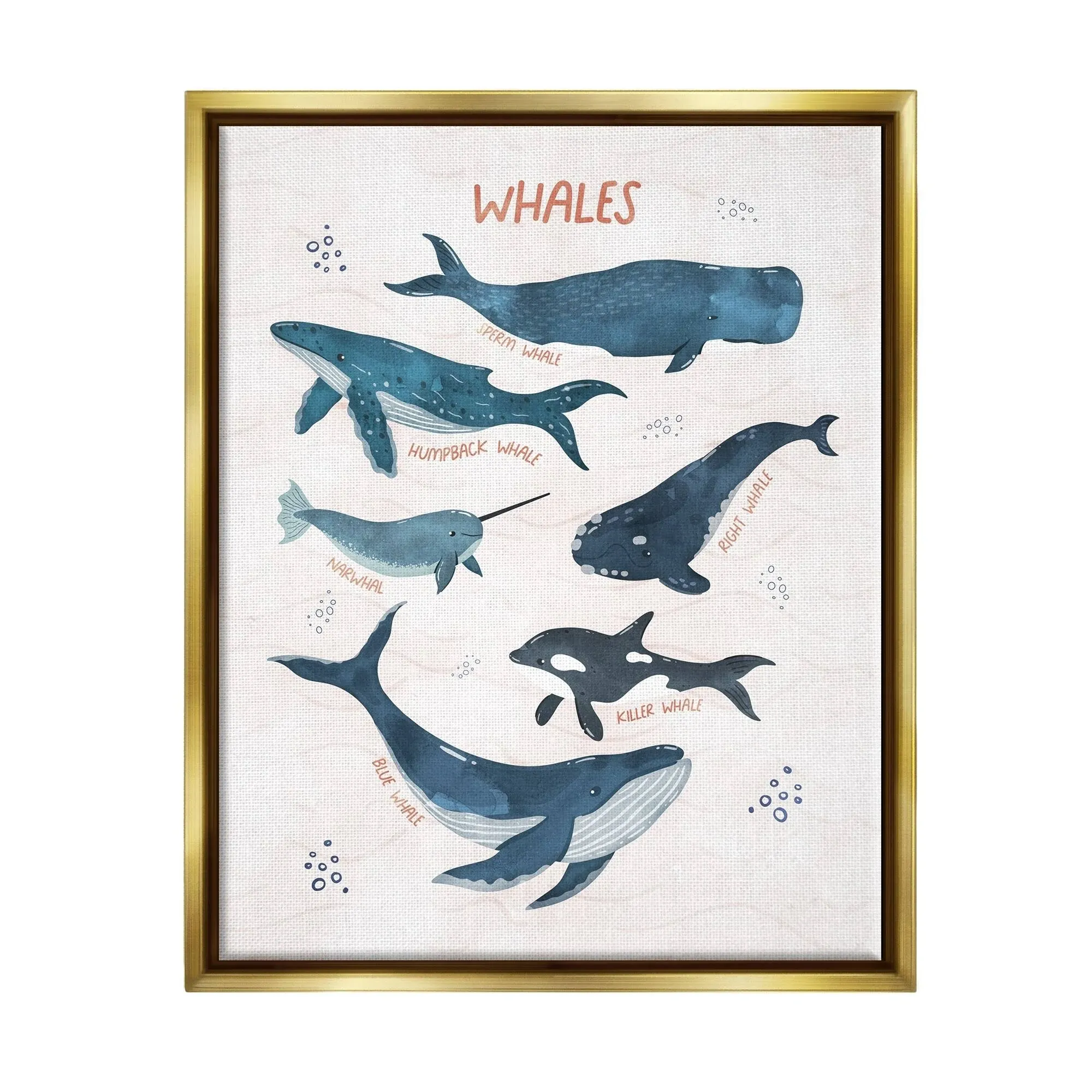 Stupell Industries Nautical Diagram Whale Narwhal Types Bubbles Illustration ...