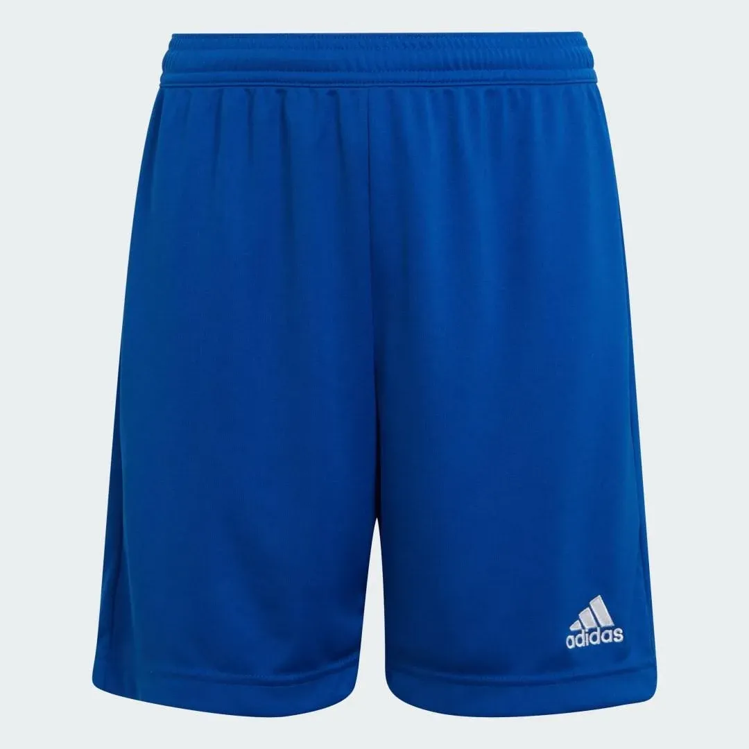 adidas Men's Entrada 22 Shorts