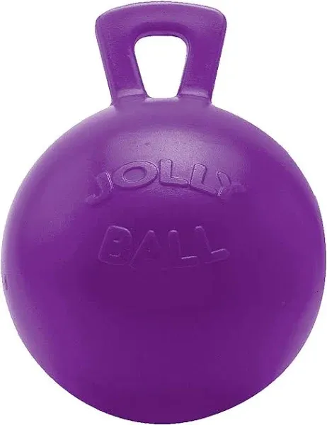 Horsemen&#039;S Pride 10&#034; Horse Jolly Ball Purple