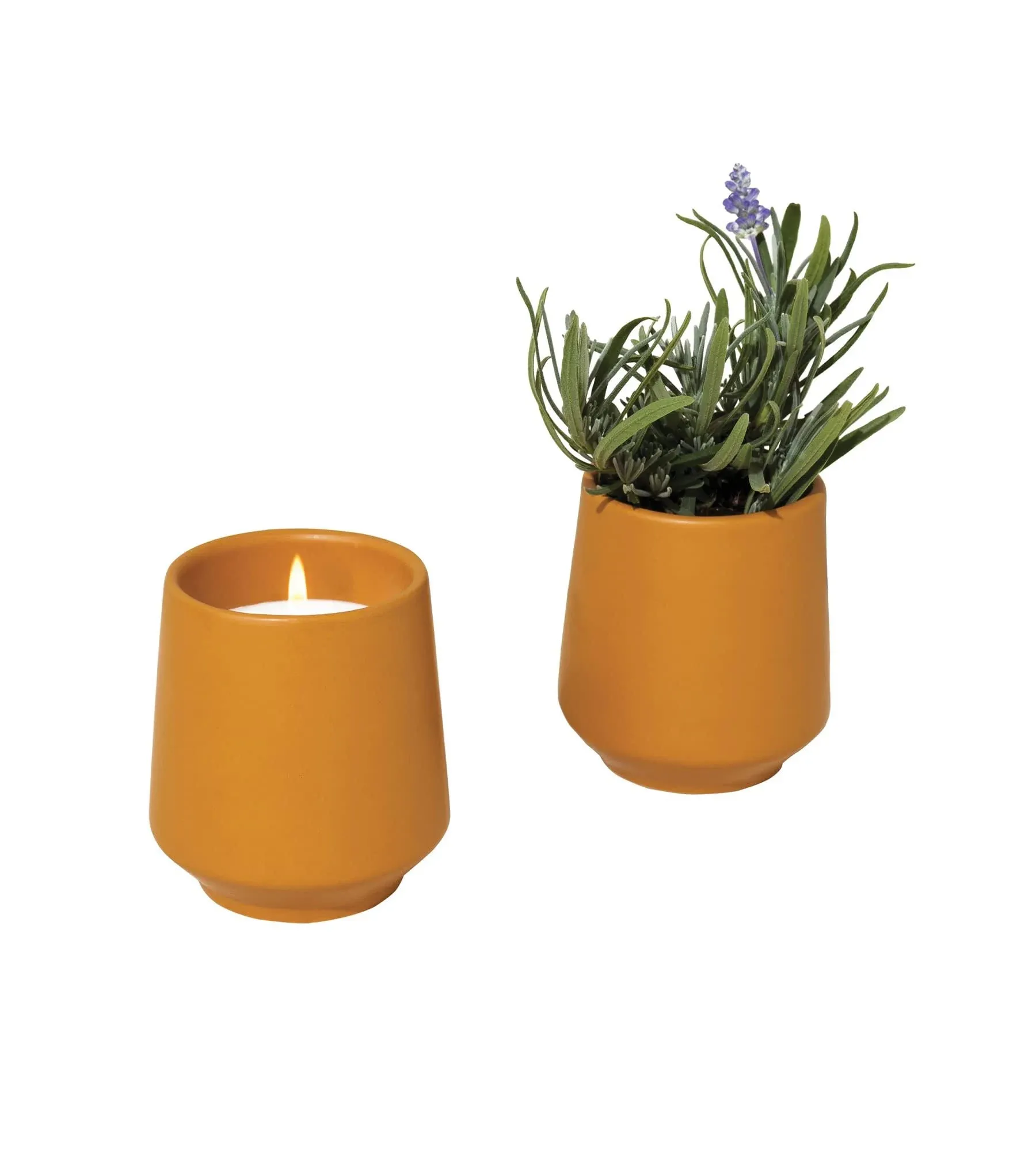 Modern Sprout Rooted Candle Rosemary