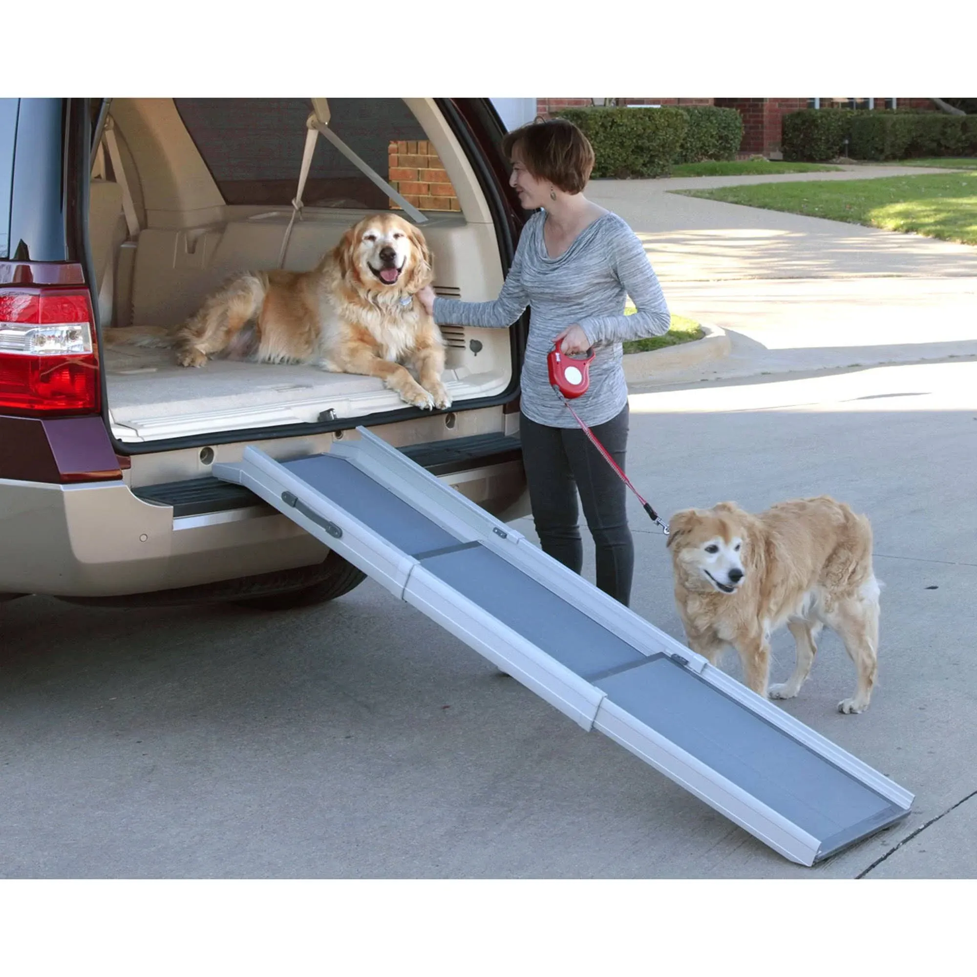 PetSafe Tri-Scope Aluminum Collapsible Dog Ramp, Gray