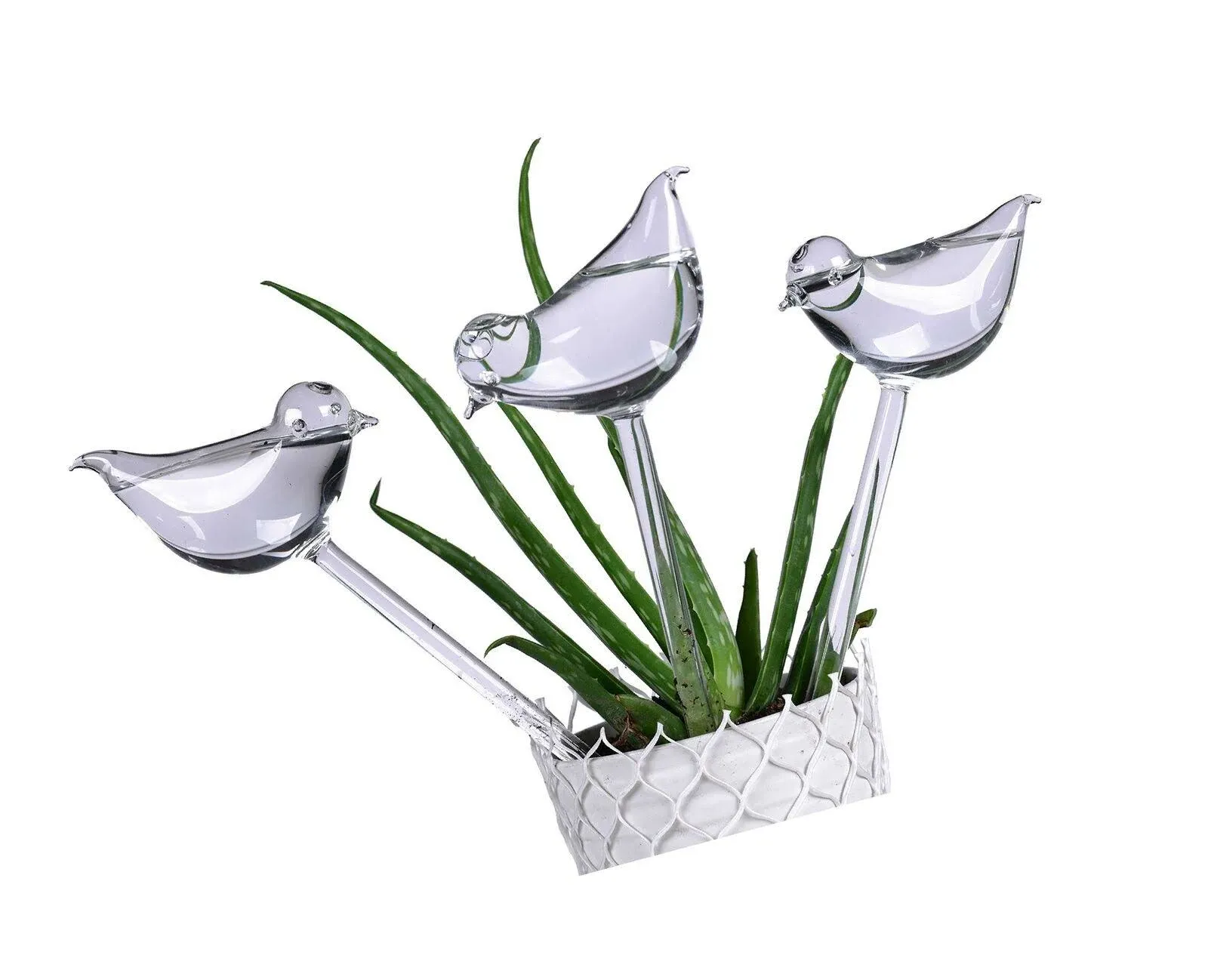 E-KAY 3 Pack Plant Waterer Self Watering Globes,Bird Shape Design Hand Blown Tra