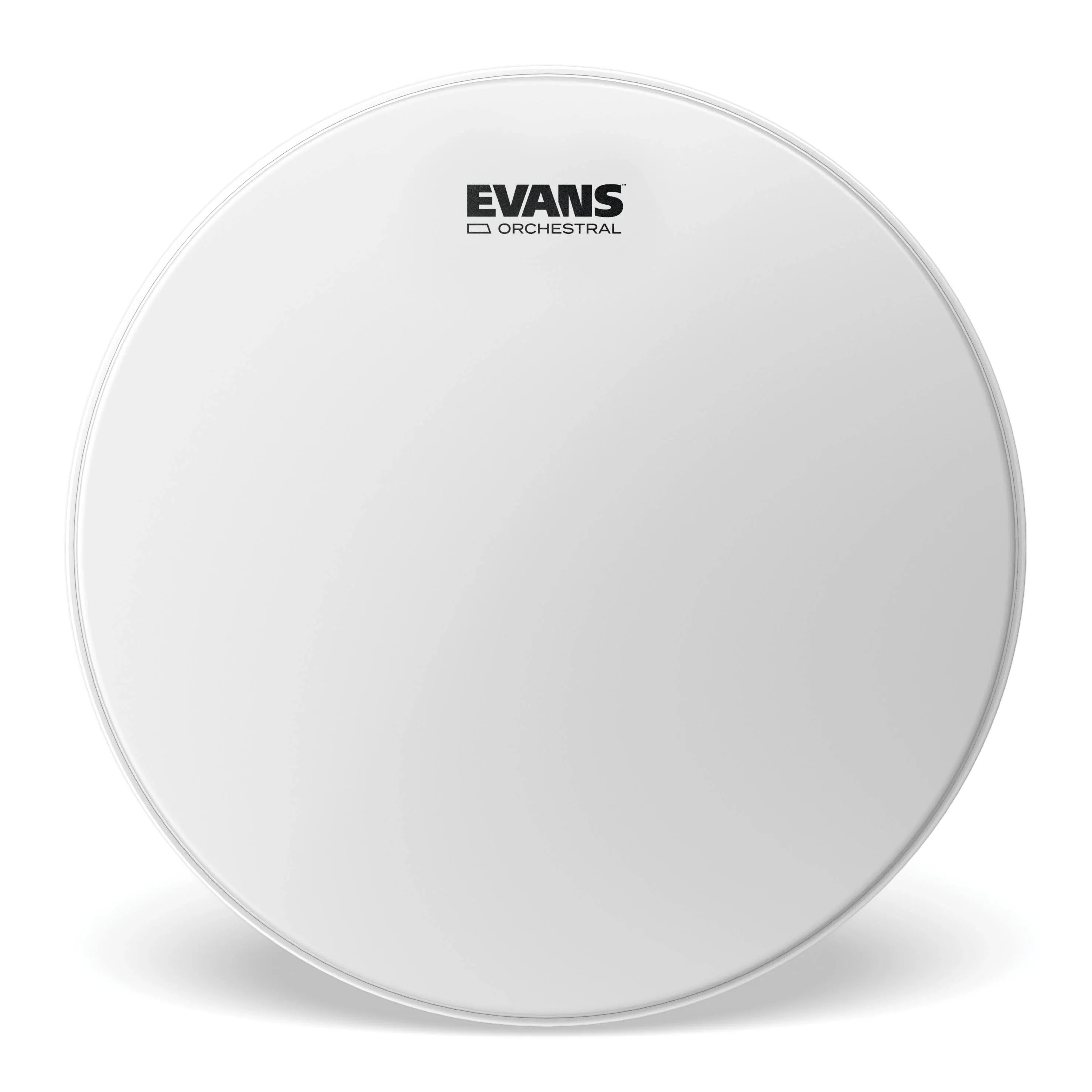 Evans Genera Concert Coated Head 14 in.