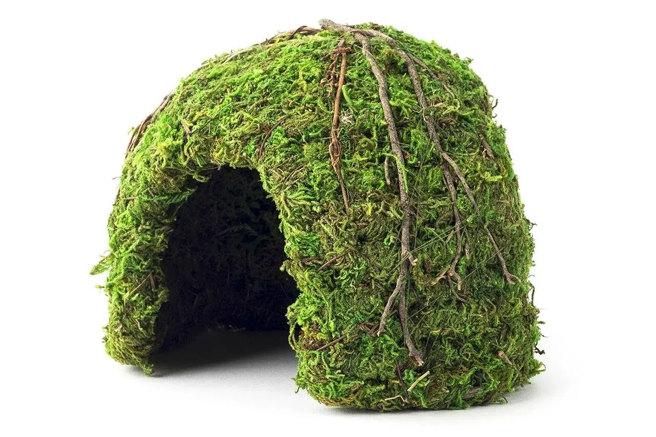 Galapagos Mossy Dome Terrarium Hideaway  Fresh Green, 1 Each/6 in By Galapagos