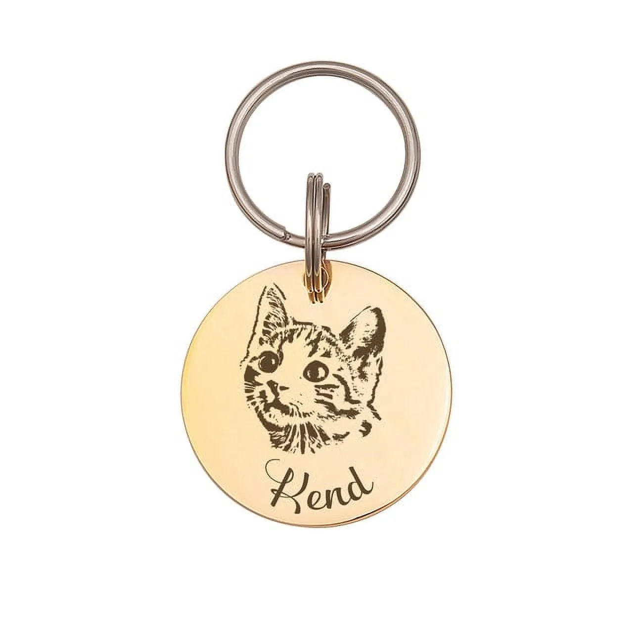 Anavia Stainless Steel Double Sided Round Name - Pet Portrait Photo Engraved Dog & Cat ID Tag, Gold, M