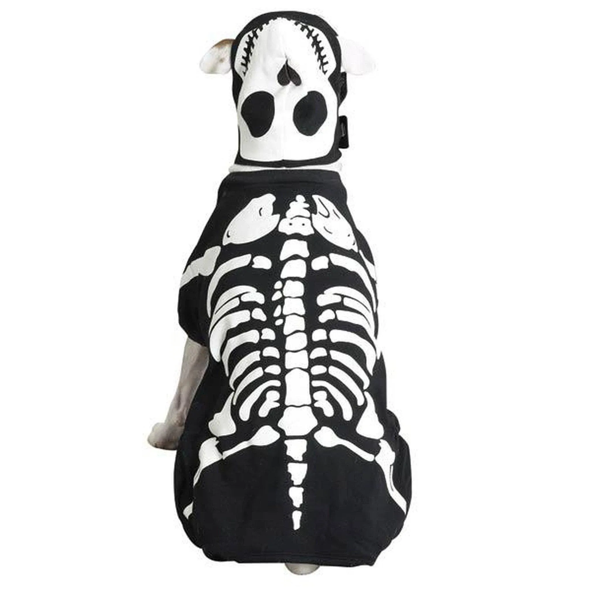 Casual Canine Glow Bones Costume