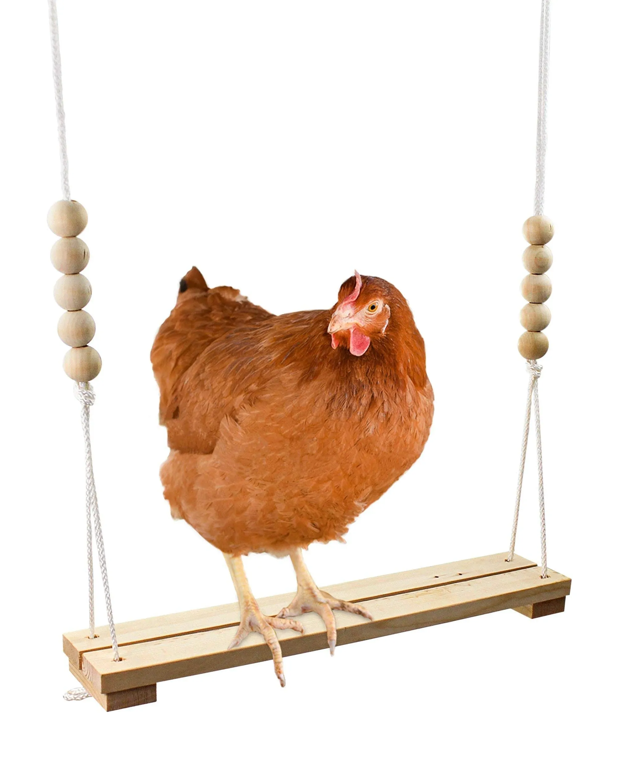 Chicken Swing Toy for Coop Handmade in USA! Natural Safe Wooden Accessories Large ...