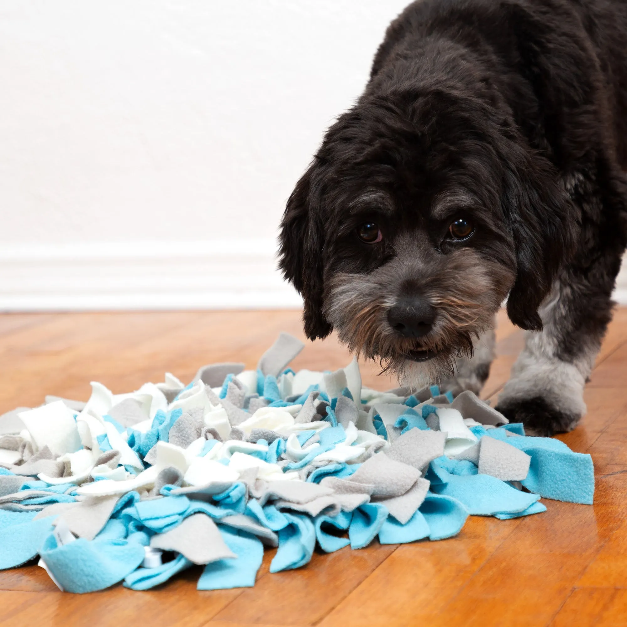 Snuffle Dog Interactive Puzzle Mat