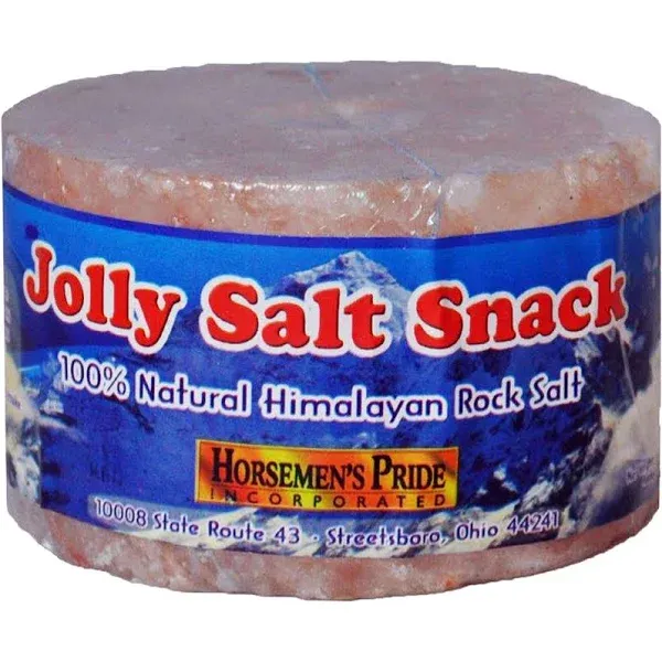 Jolly Pets Stall Snack Refill Salt