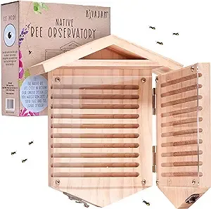 Sunny Pollinator Hotel Multi room House - Leaf Cutter & Mason Bees Insect Habitat Native Gardens Organic Gardening Gardener Nature Gift