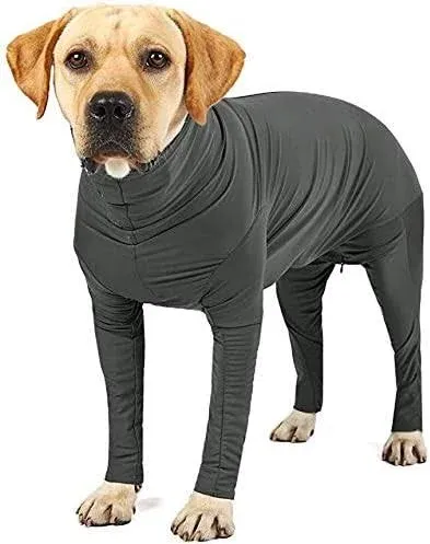 Etdane Dog Onesie