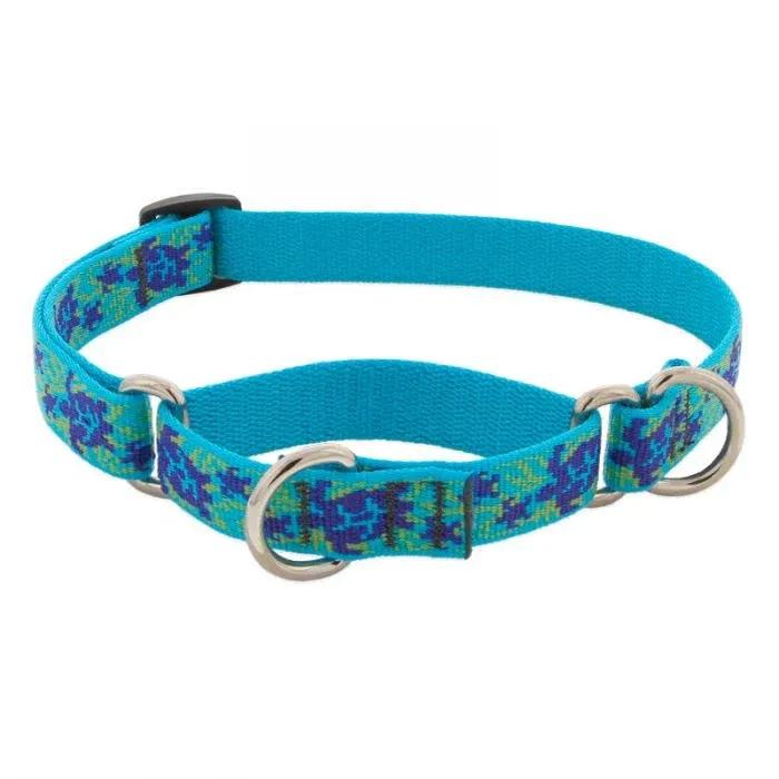 LupinePet Originals 3/4&#034; Turtle Reef 10-14&#034; Martingale Collar for Small Dogs