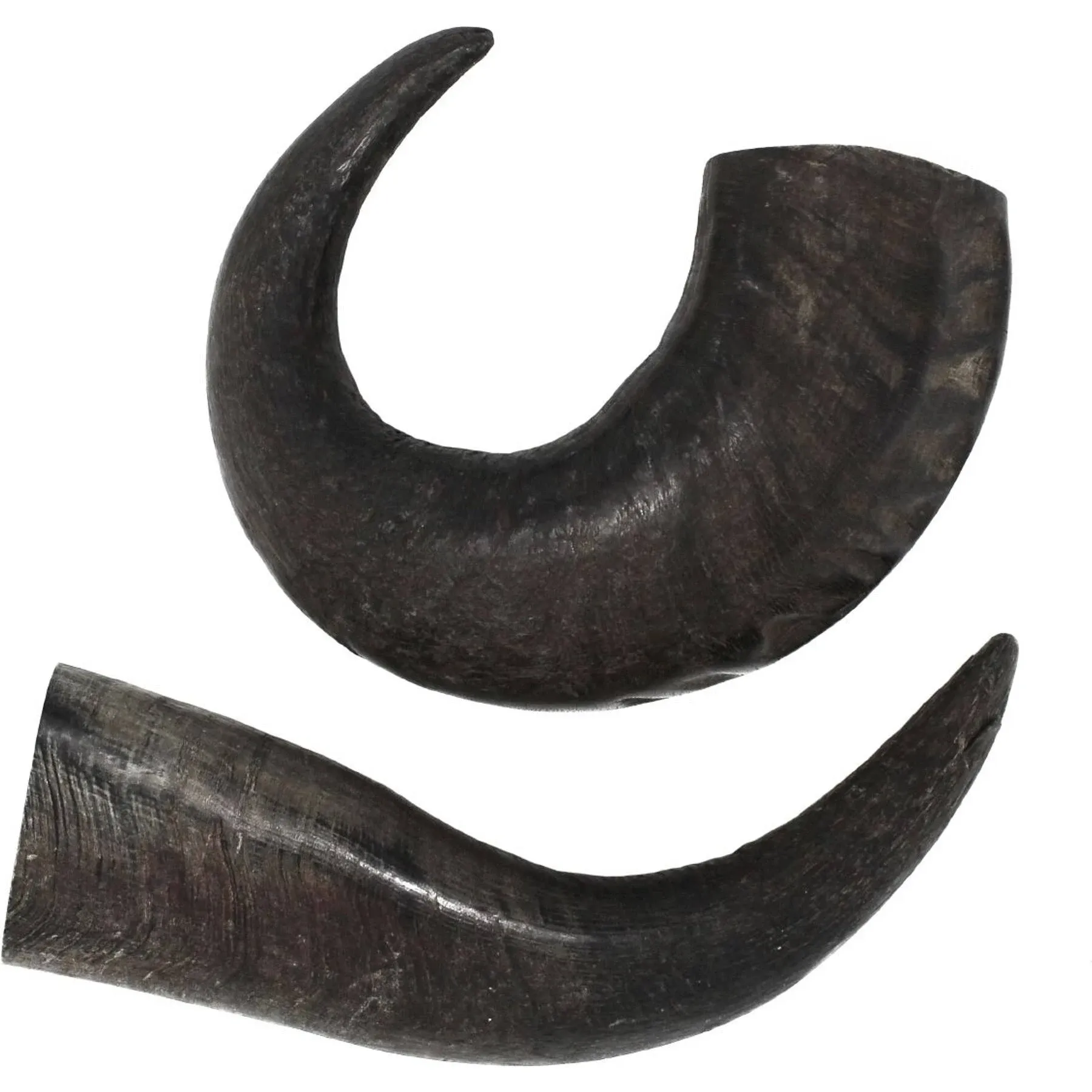 peaksNpaws All Natural Premium Large Dog Water Buffalo Horns Treat