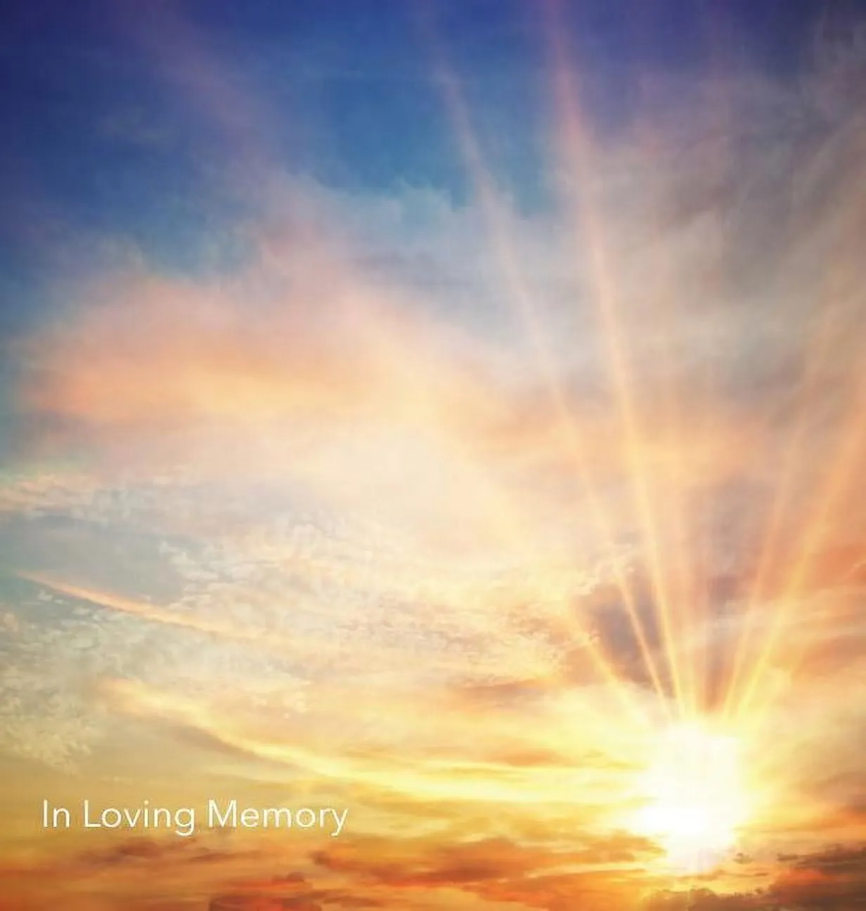 In Loving Memory Funeral Guest Book, Wake, Loss, Memorial Service, Love, Condolence Book, Funeral Home, Church, Thoughts and In Memory Guest Book (Hardback), (Hardcover)