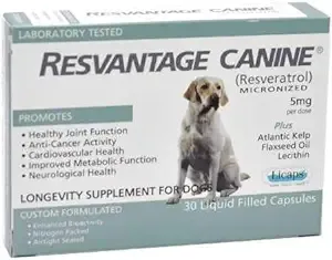 Overall Canine Health