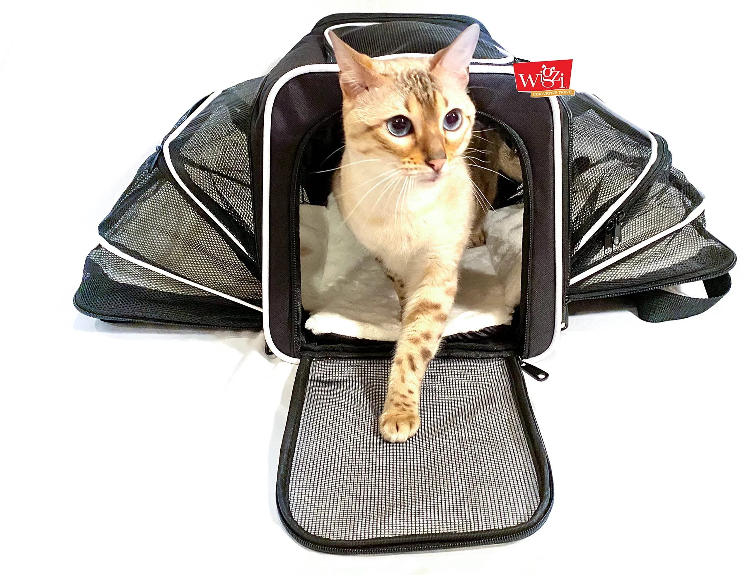 Wigzi Pet Carrier Cats and Dogs Up to 20lbs