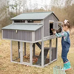 large chicken coop hen house