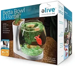 Elive Betta Bowl and Planter White .75 Gallon