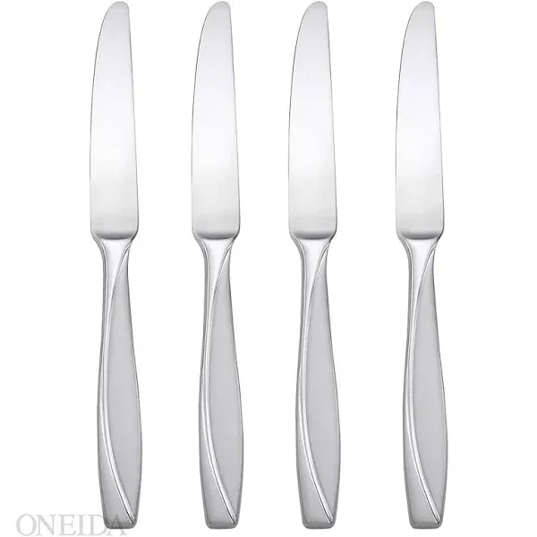 Oneida Camlynn Set Of 4 Dinner Knives