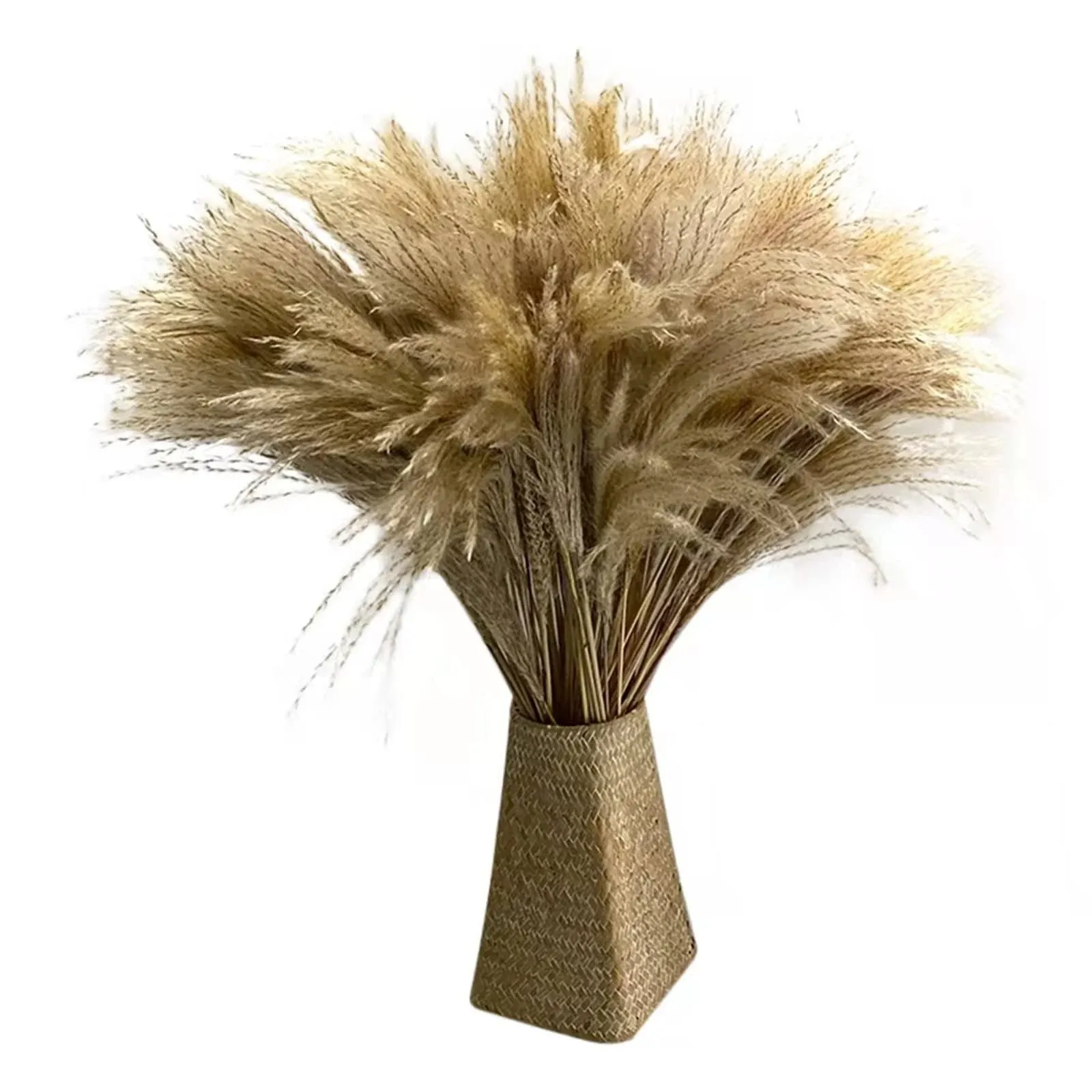 100 Pcs Dried Pampas Grass Decor,Raw Color,20&#034; Tall Plants for Wedding Bouquets