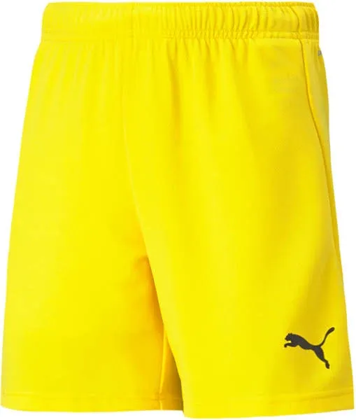 Puma Team Rise Shorts