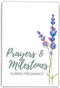 Pregnancy Prayer Cards Weekly Prayer & Milestone Cards for Expecting Mother