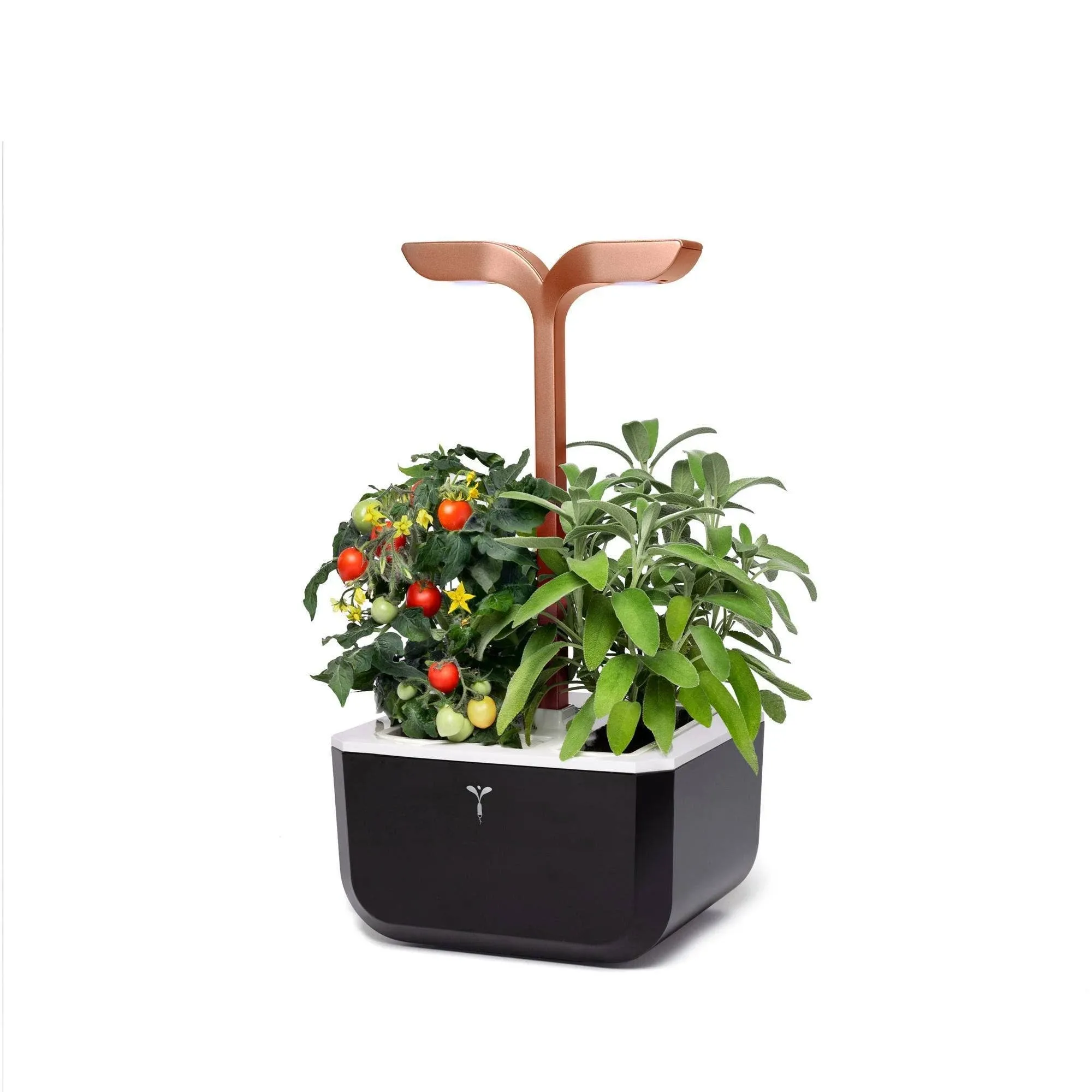 Veritable Exky Smart Indoor Garden, Black Copper