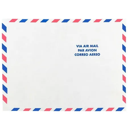 JAM Paper Tyvek Tear-Proof Open End Catalog Envelopes