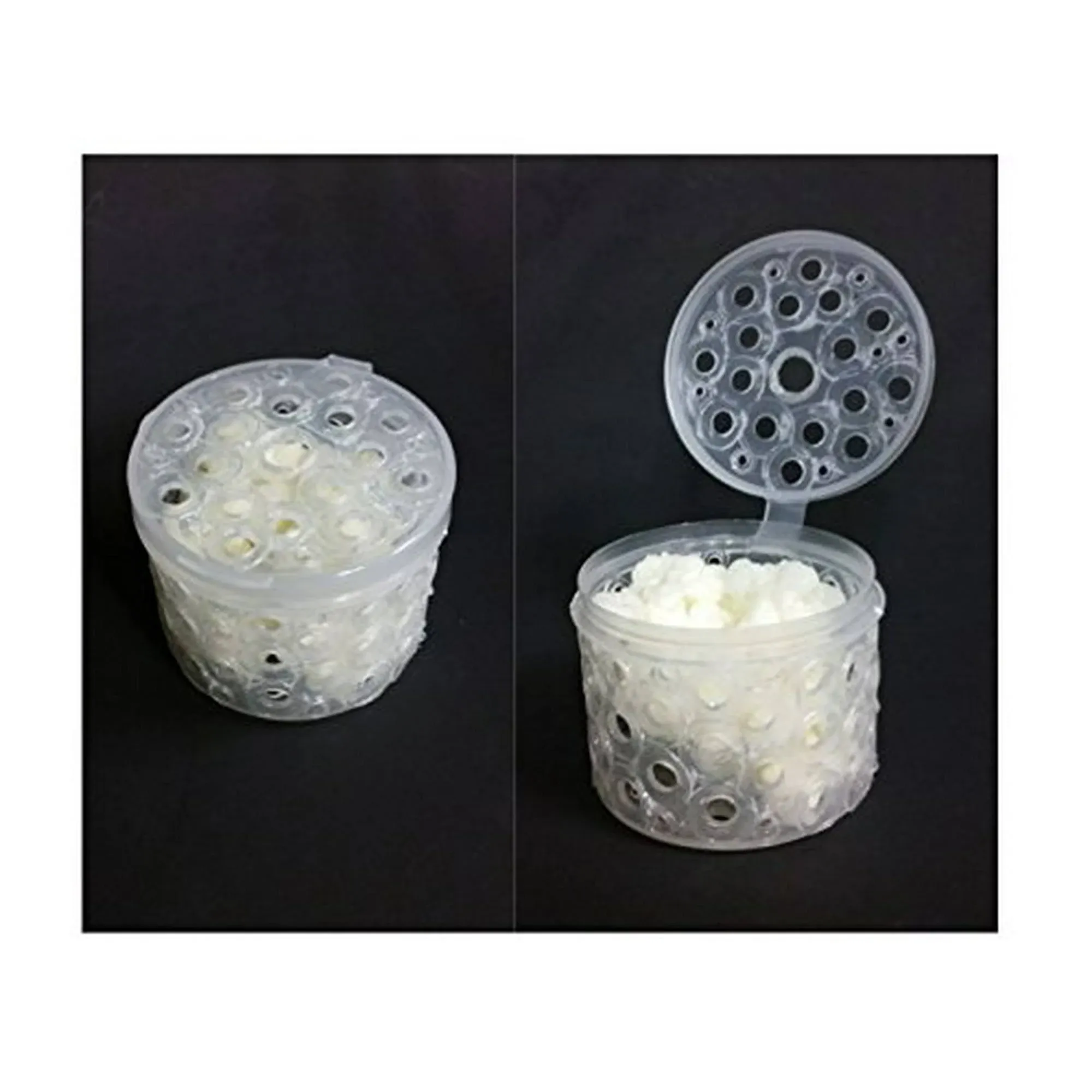 Microbiota Inc. Kefir Fermenter: Cage with Kefir Grains (20 g)