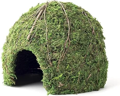 Galapagos (05366 Mossy Dome Hide, 6 in, Galápagos Green