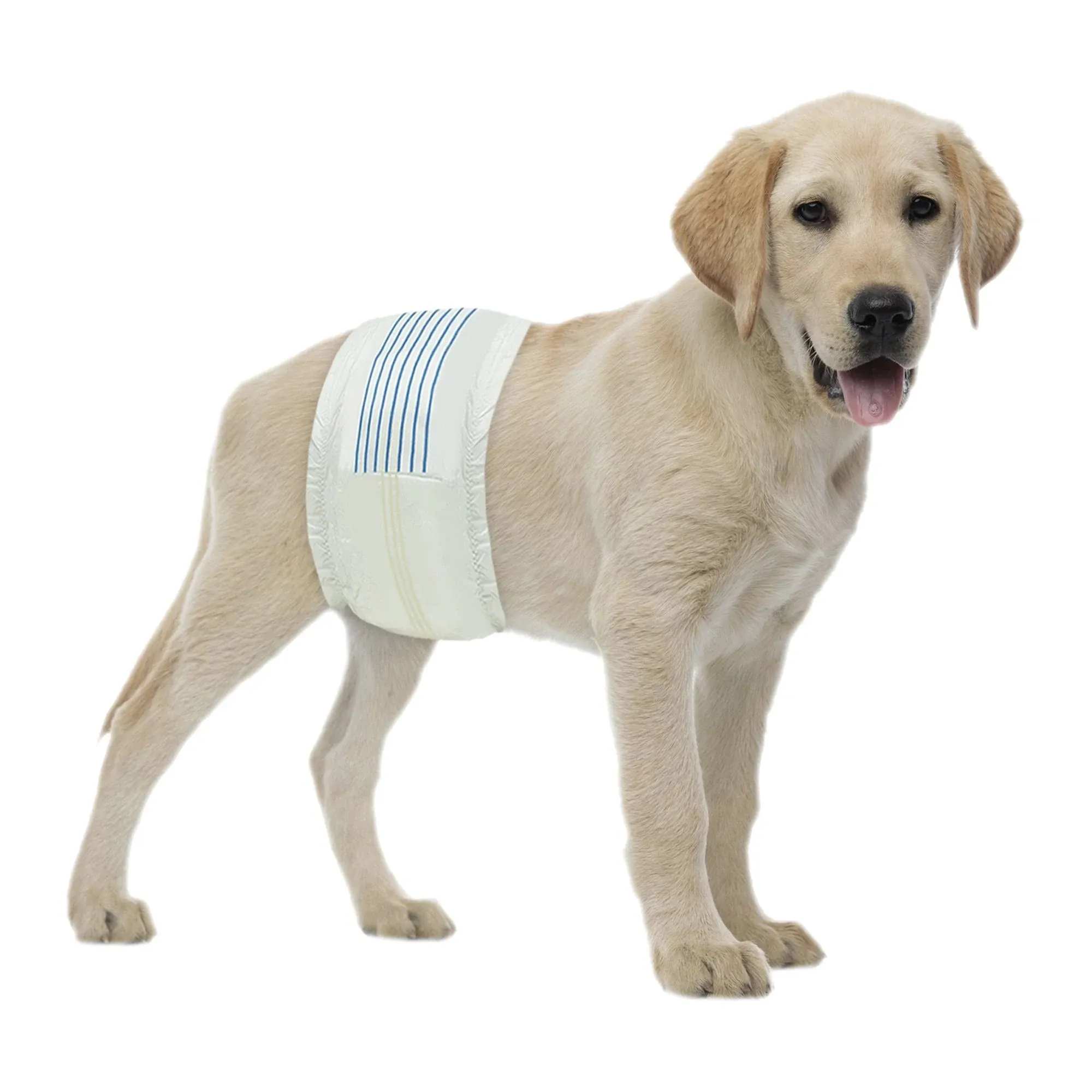 BV male Dog Wraps, Dog Diapers for male Dogs, Disposable Puppy Wraps, Medium, 50 Count