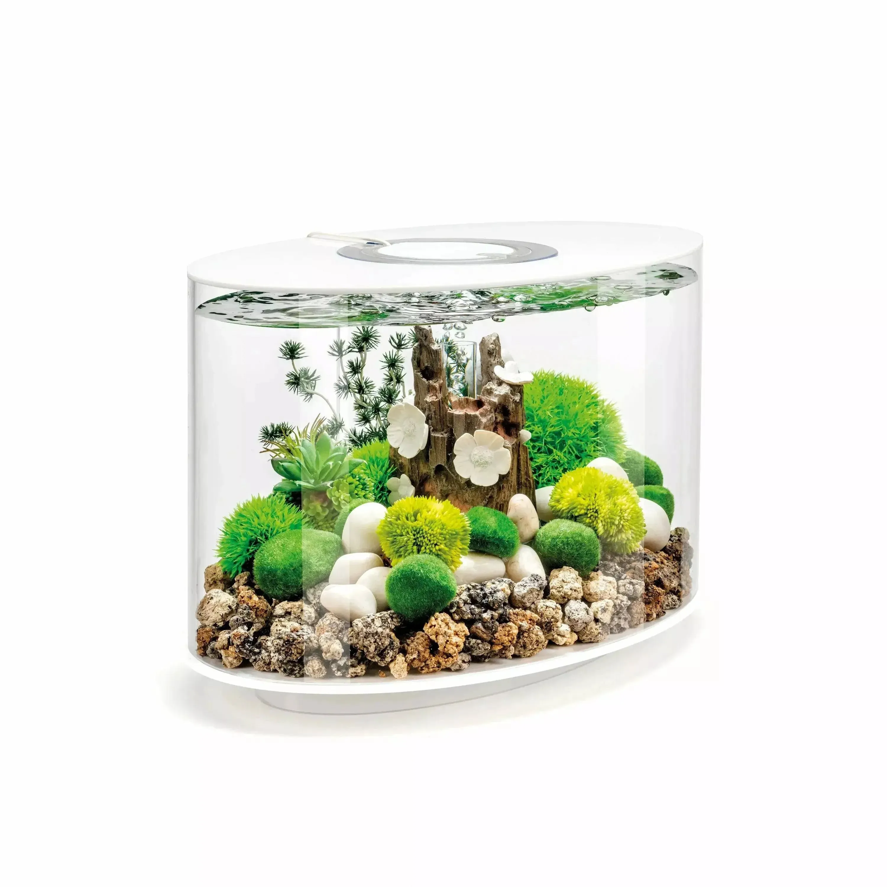 biOrb Loop 15 Aquarium with MCR Light - 4 Gallon, White