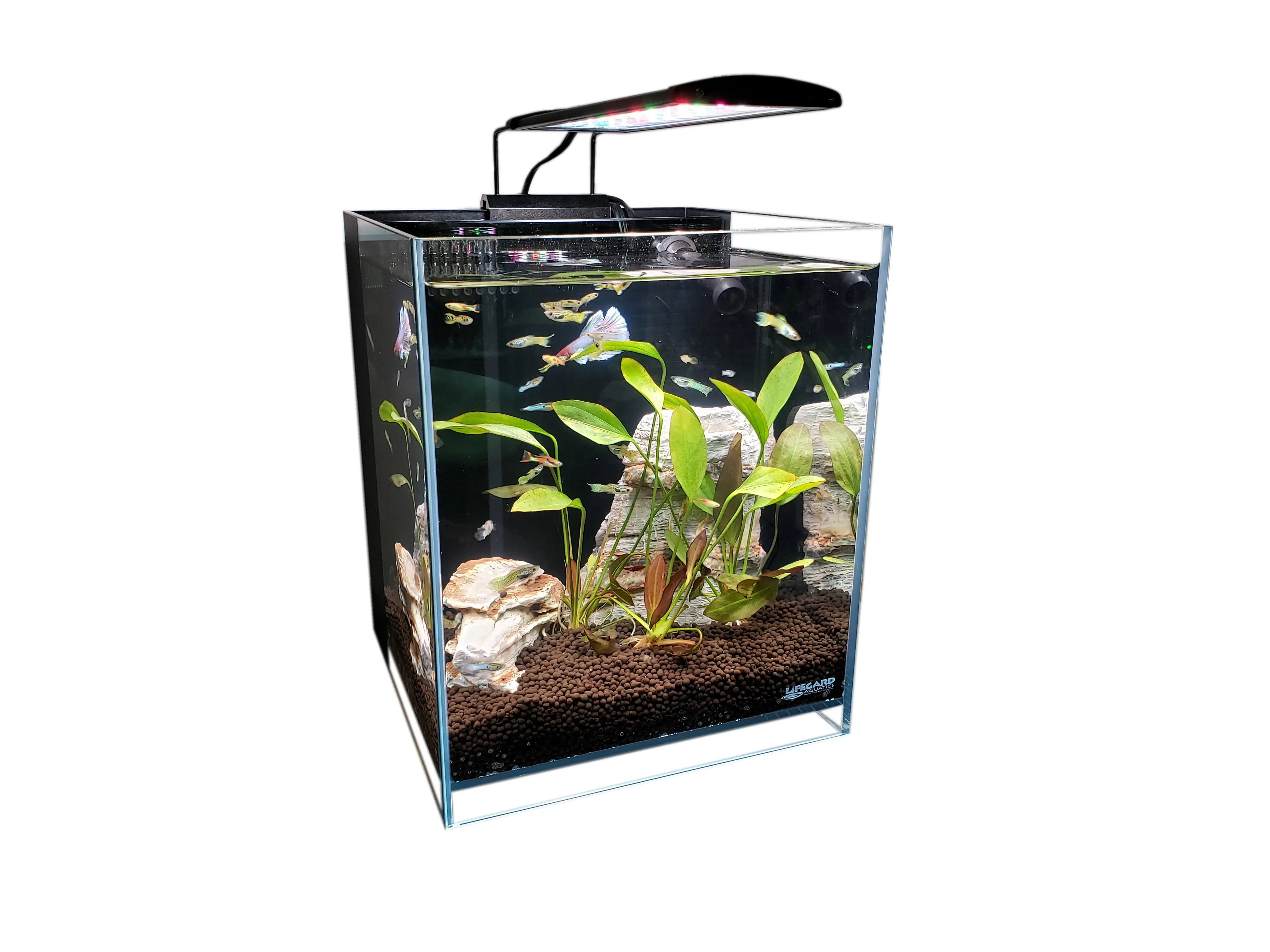 Lifegard Aquatics 8.3 Gallon All-in-One Betta Aquarium