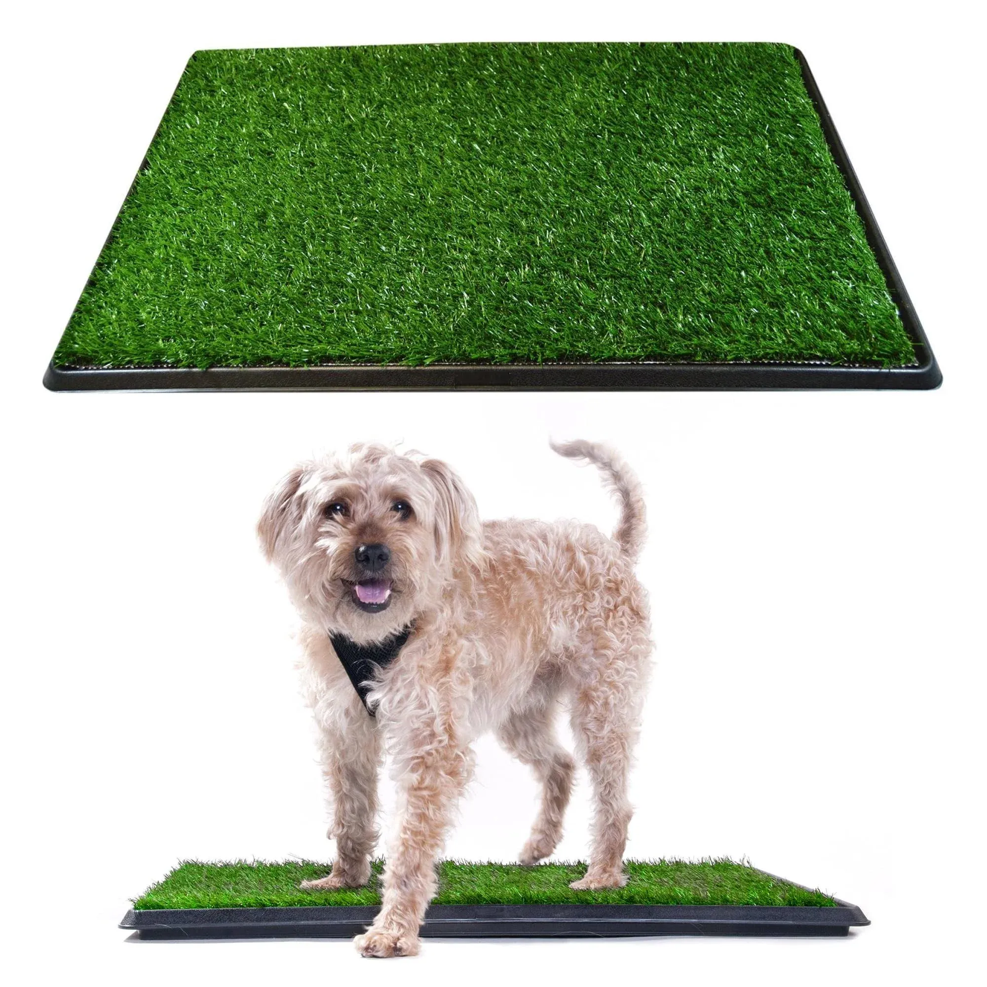 Downtown Pet Supply Grass Pad for Dogs, Dog Pee Pads System, 17 x 25 inch