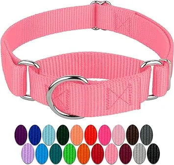 Country Brook Petz Martingale Dog Collar - Heavy-Duty Training Collar with No Buckle - Service Dog Collar for All Pups - Vibrant, Colorful Collection (Black, 1 Inch, Large)