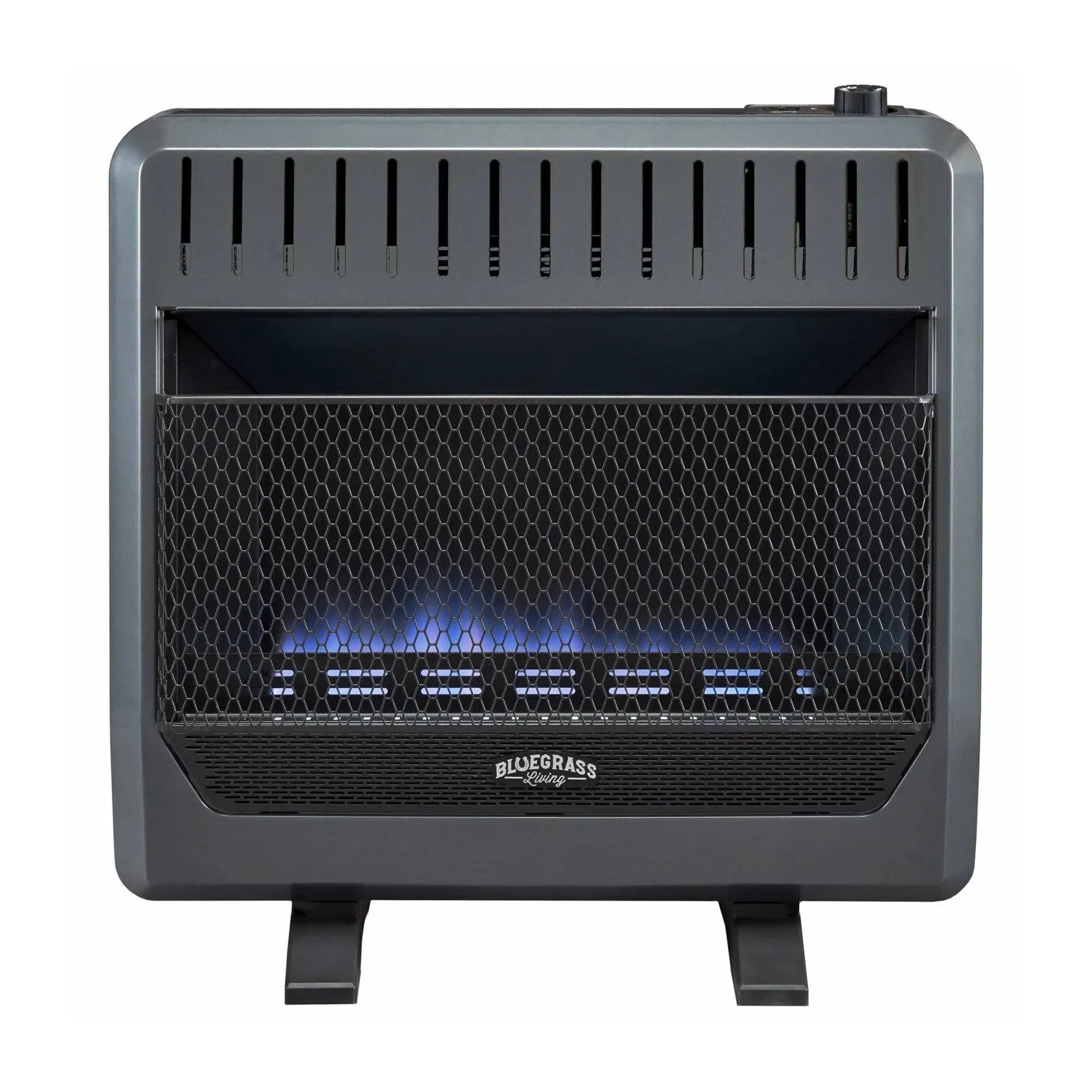 Bluegrass Living Propane Gas Vent Free Blue Flame Gas Space Heater with Blower and Base Feet