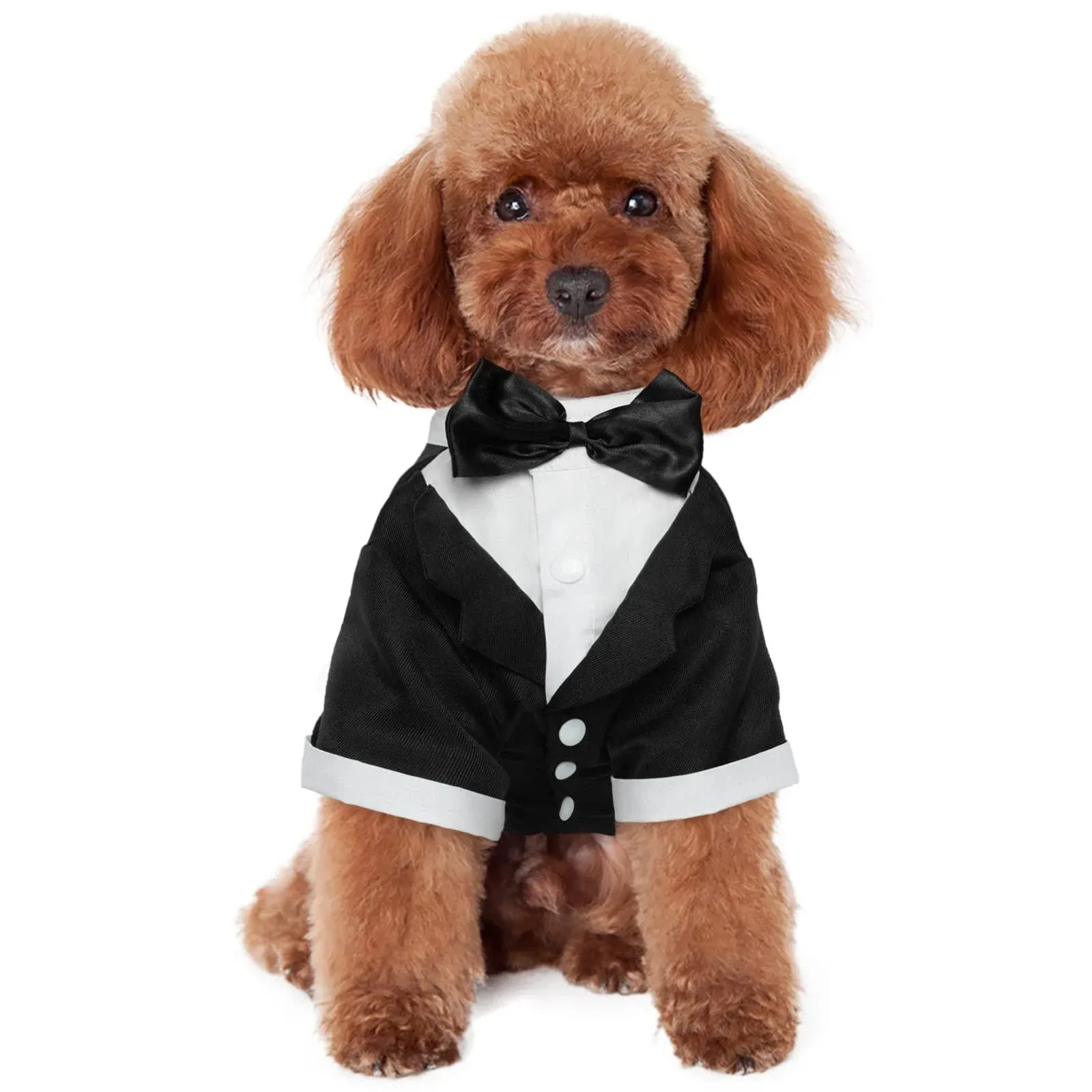 Kuoser Dog Shirt Puppy Pet Small Dog Clothes, Stylish Suit Bow Tie Costume ...