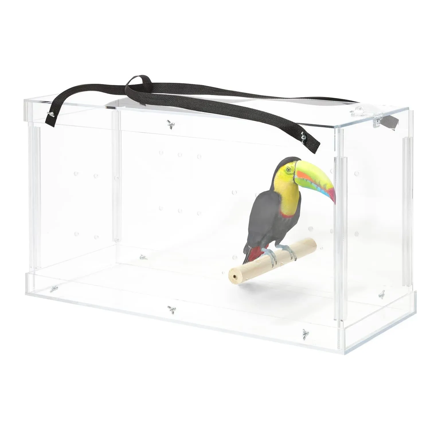 PENNZONI Macaw Acrylic Carrier Acrylic Large Bird Carrier