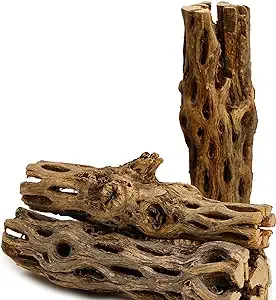 NApremium Natural Cholla Wood | 5 Pieces of 5-6" Long Natural Cholla Wood for Aquarium Decoration, Hermit Crabs, Shrimp