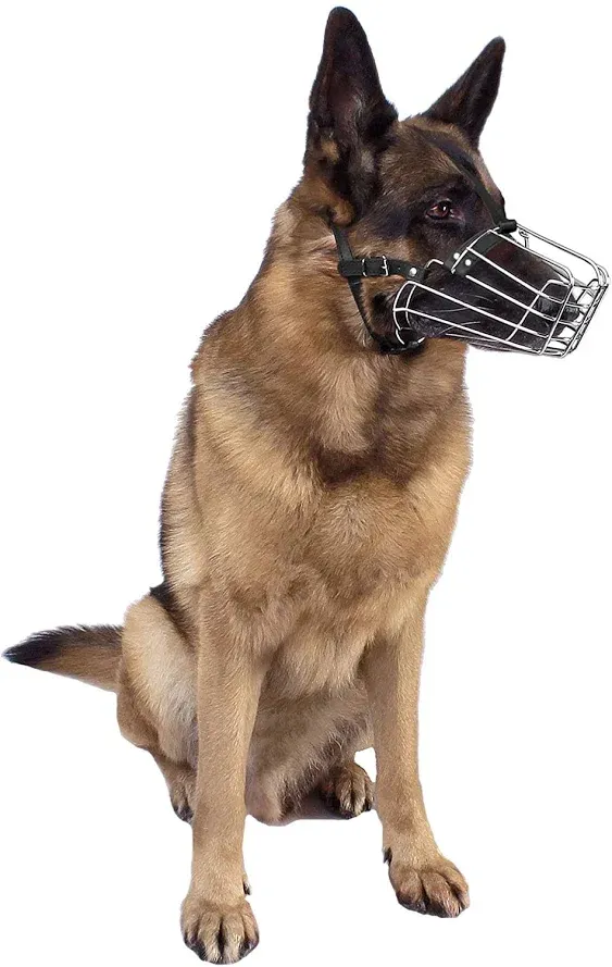 BRONZEDOG Wire Dog Muzzle German Shepherd for Medium Large Dogs Adjustable Durable Metal Basket for Biting Chewing Barking (XL)