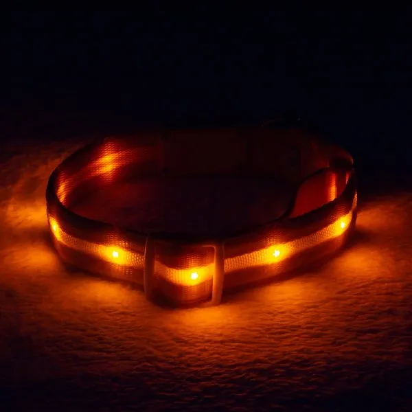 Blazin LED Light Up Dog Collar 1,000 Feet of Visibility